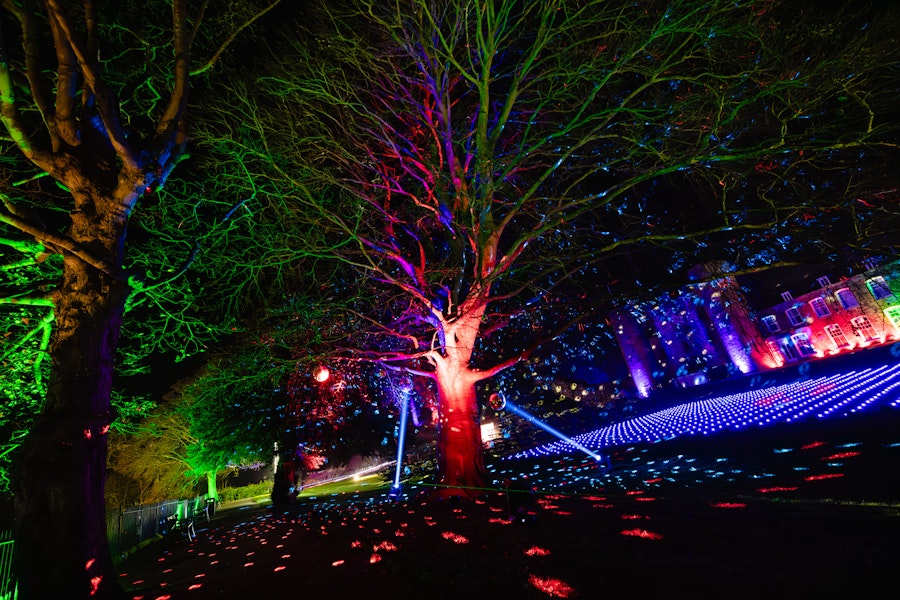 A disco ball tree at Illuminate Ipswich at Holywells Park in Ipswich